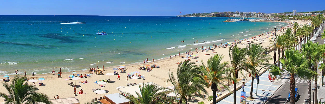 Dorada2